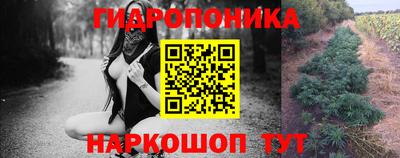 дурь Жуковский