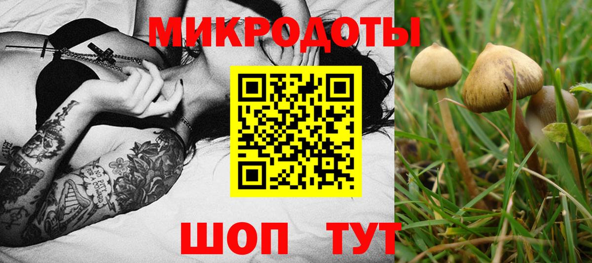 Галлюциногенные грибы MAGIC MUSHROOMS  Вход с VPN  Краснокаменск 